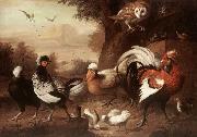 Jakob Bogdani Fowls and Owl oil painting on canvas
